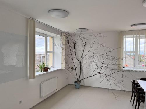 Klubovna v 1. patře